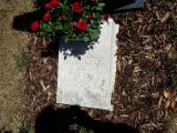 image of grave number 736055